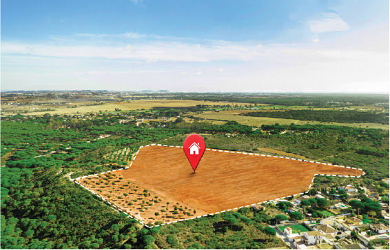 Site Development